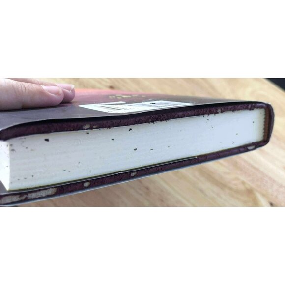 The Monster Hypothesis by Romily Bernard - Picture 6 of 6